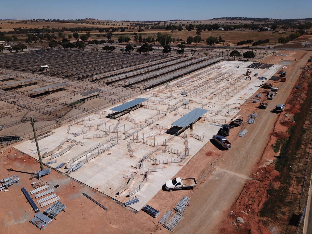 Aerial view of sheep yards