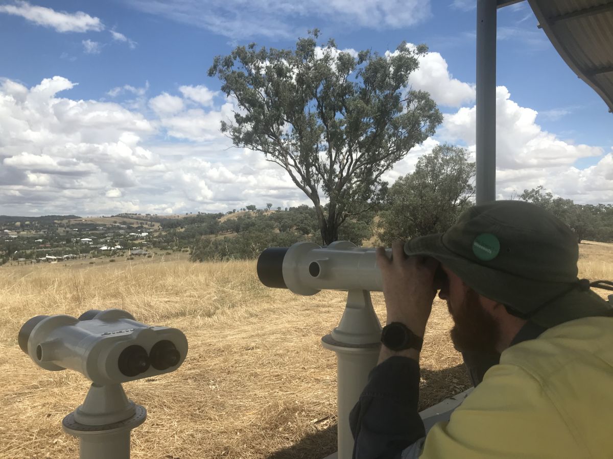 man looking over bushland through binoculars