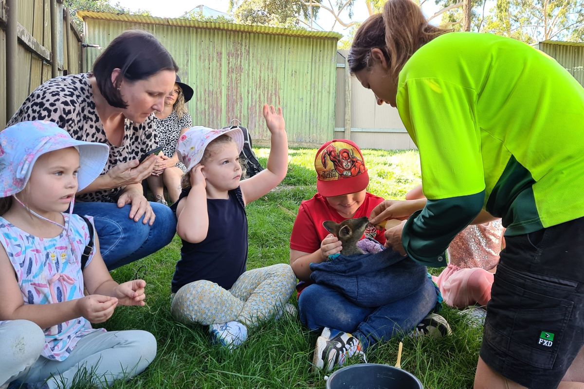 Two young girls, young boy holding a baby swamp wallaby,  two women in zoo enclosure