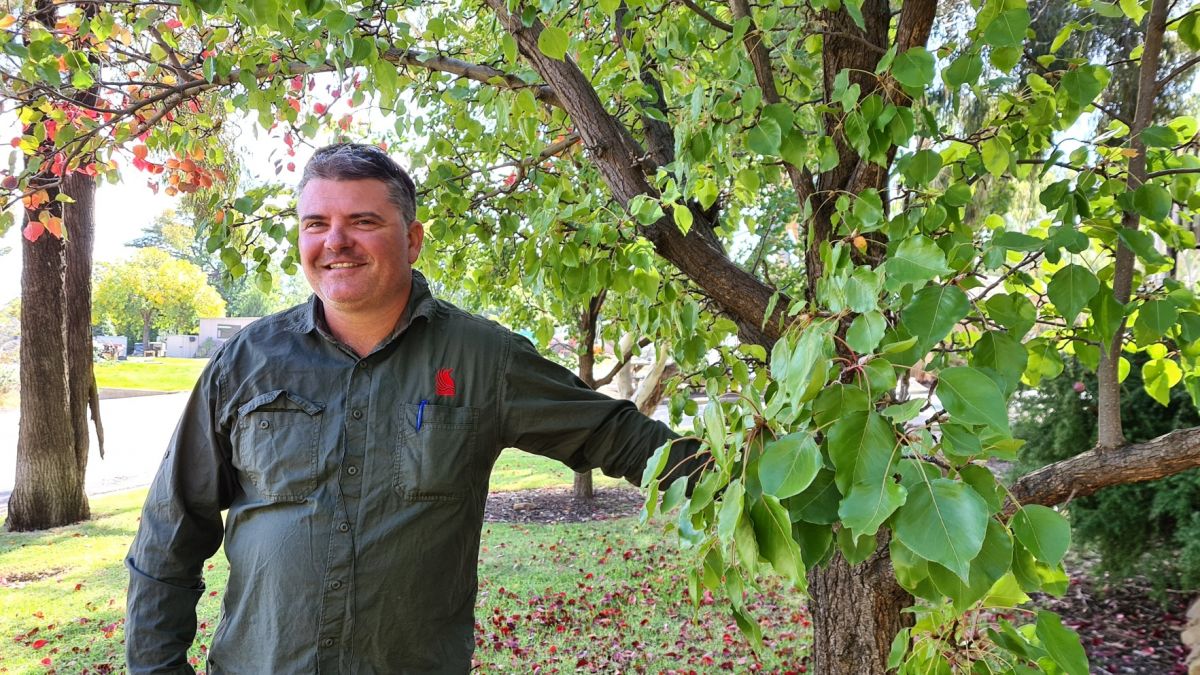 Man standing in front of tree