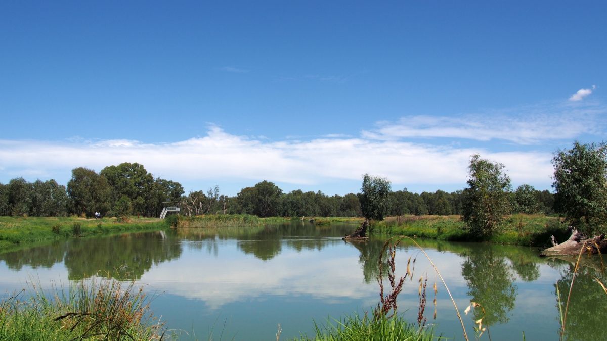 Natural wetlands