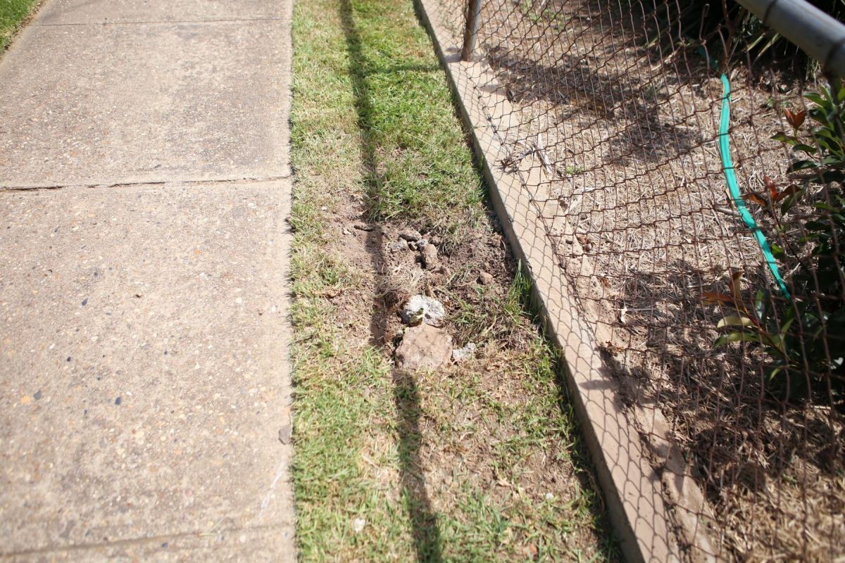 Hole in grass next to footpath