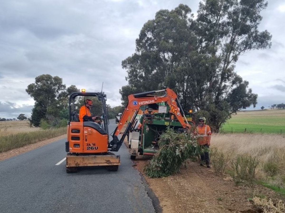 Two men operate a mini excavator while pruning trees 