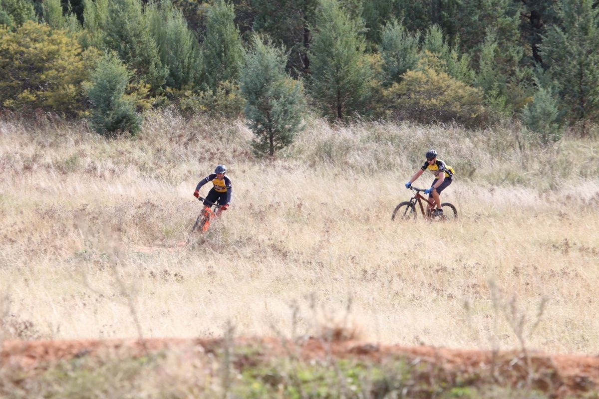 Mountain bike riders on track