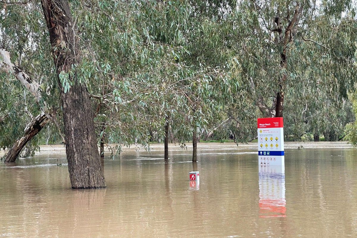 Moderate flooding of Murrumbidgee River at Wagga Beach