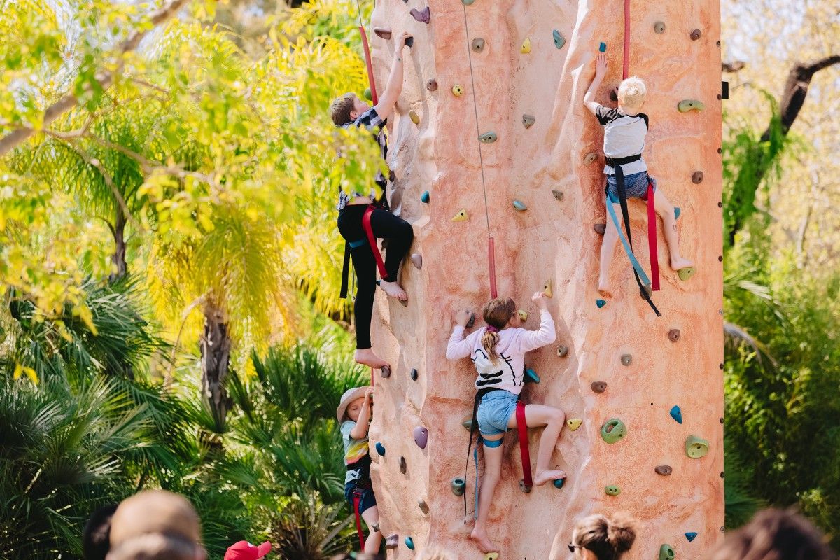 Kids on climbing wall tree in park