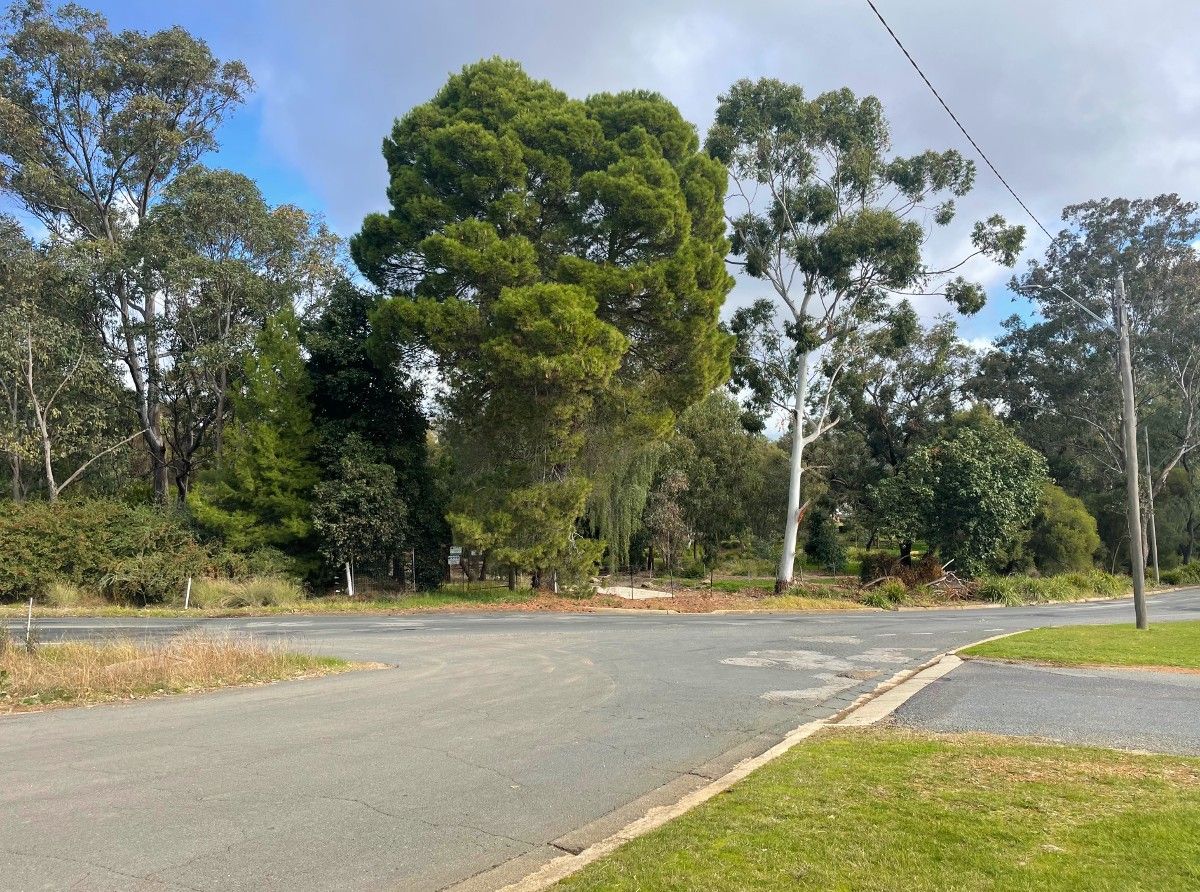 Museum of the Riverina access lane leading to Lord Baden Powell Drive with the Botanic Gardens in the background