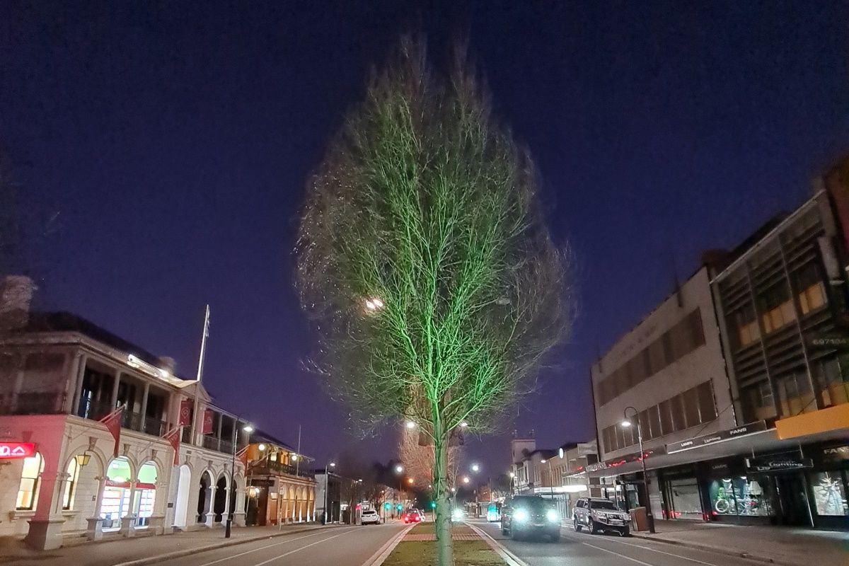 Trees along Fitzmaurice Street lit up for Green & Gold Day celebrating Olympic and Paralympic Games