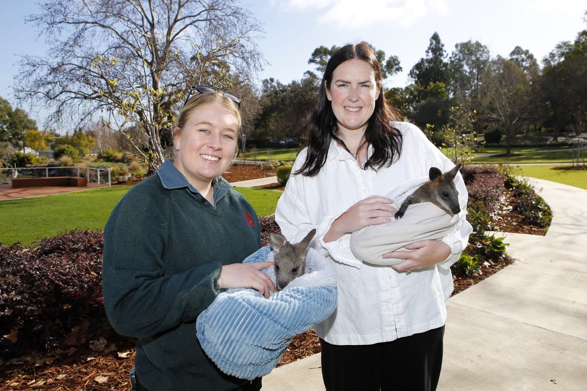 Two women standing on a concrete path in a garden setting, each holding large holding a joey.