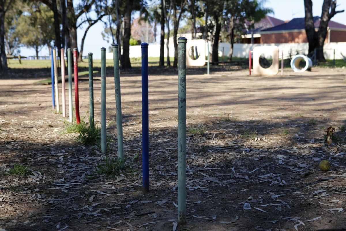 A line of dog agility poles in the foreground other dog agility equipment in the background at a dog park