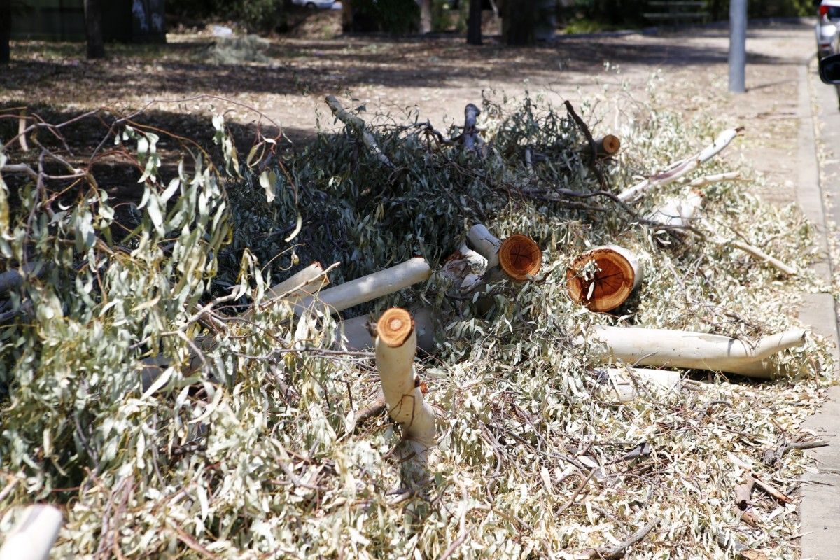 Pile of fallen branches which have been cut into small pieces and piled on the nature strip.