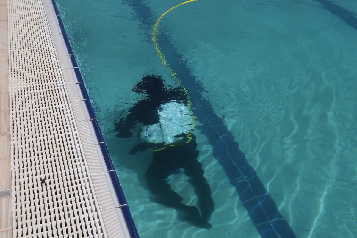 diver in swimming pool at Oasis