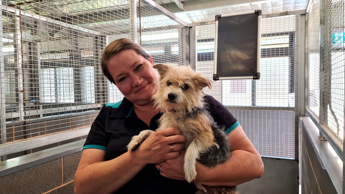 Woman cuddling small dog inside kennel facility