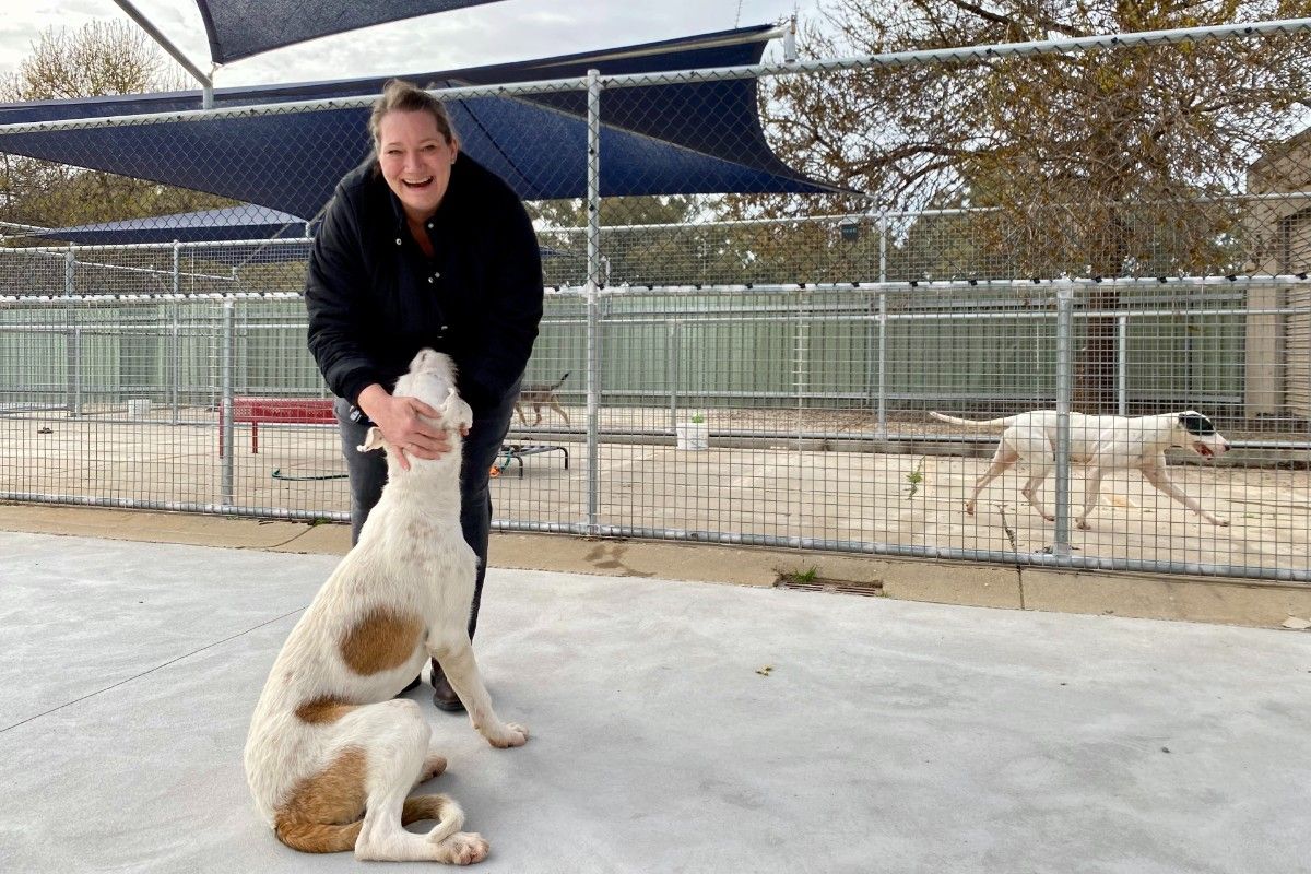 Woman with dog in shelter yard