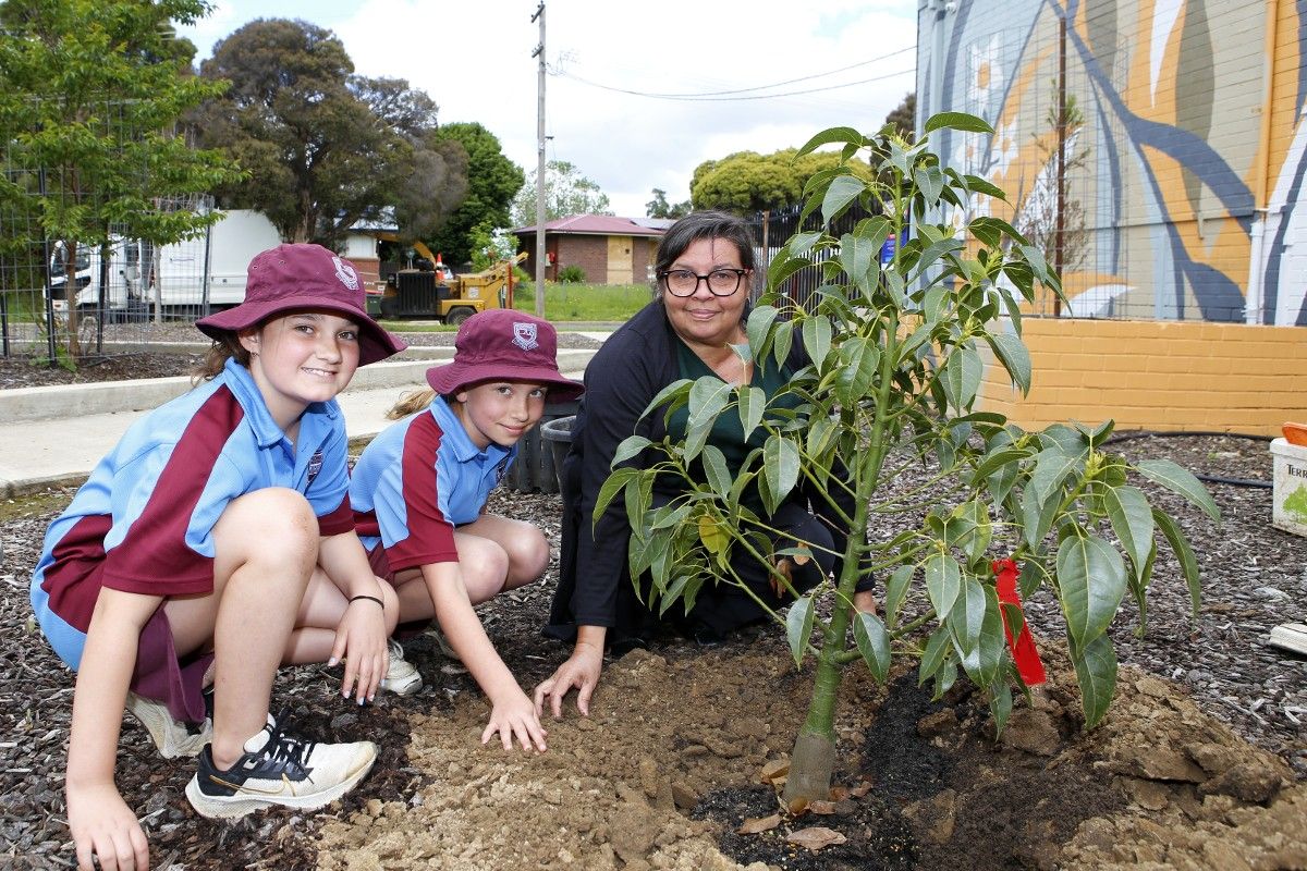 Two primary school students and Wiradjuri Elder planting tree at Wilga Park