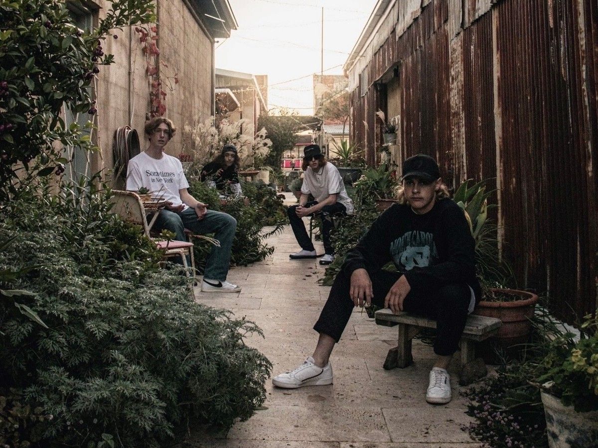 Four young men sitting in a alleyway surrounded by ferns