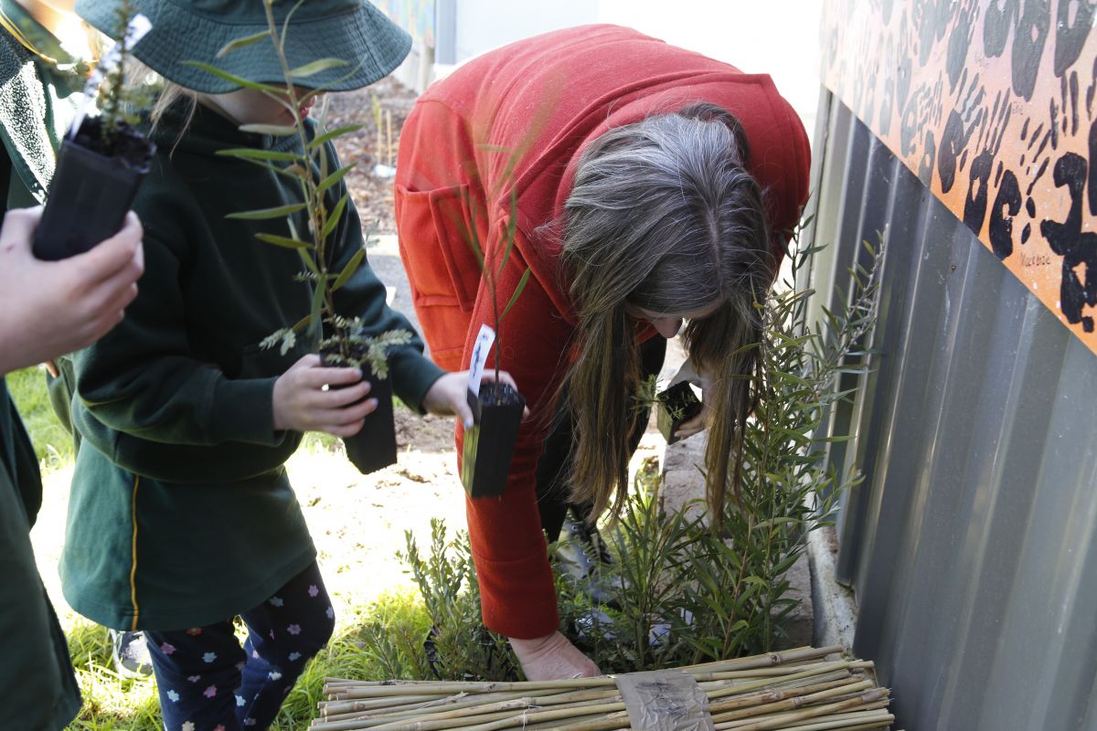 Environmental Education Officer Christina Reid handing out seedlings to Kapooka Public School Students.