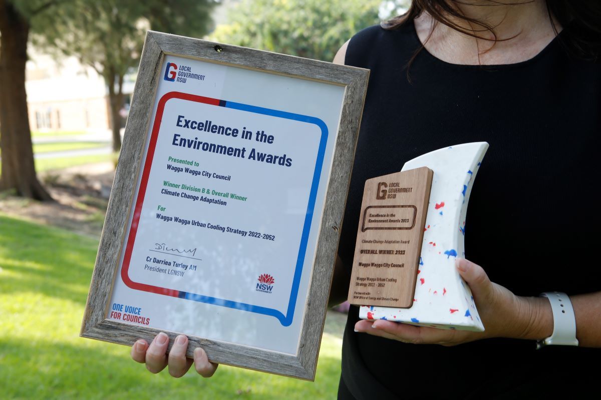 A close-up of a framed certificate and a trophy for Excellence in the Environment Awards.