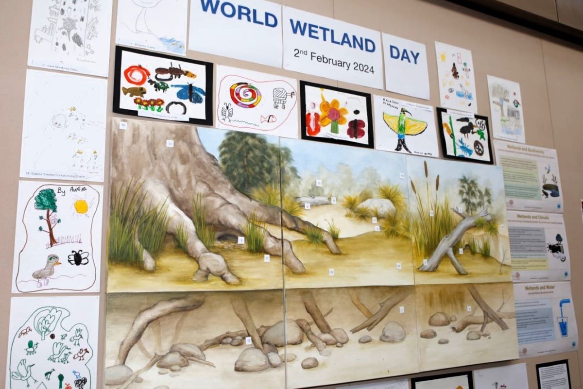 A display for World Wetland Day. There is a large landscape drawing surrounded by artworks of plants and animals created by children. 
