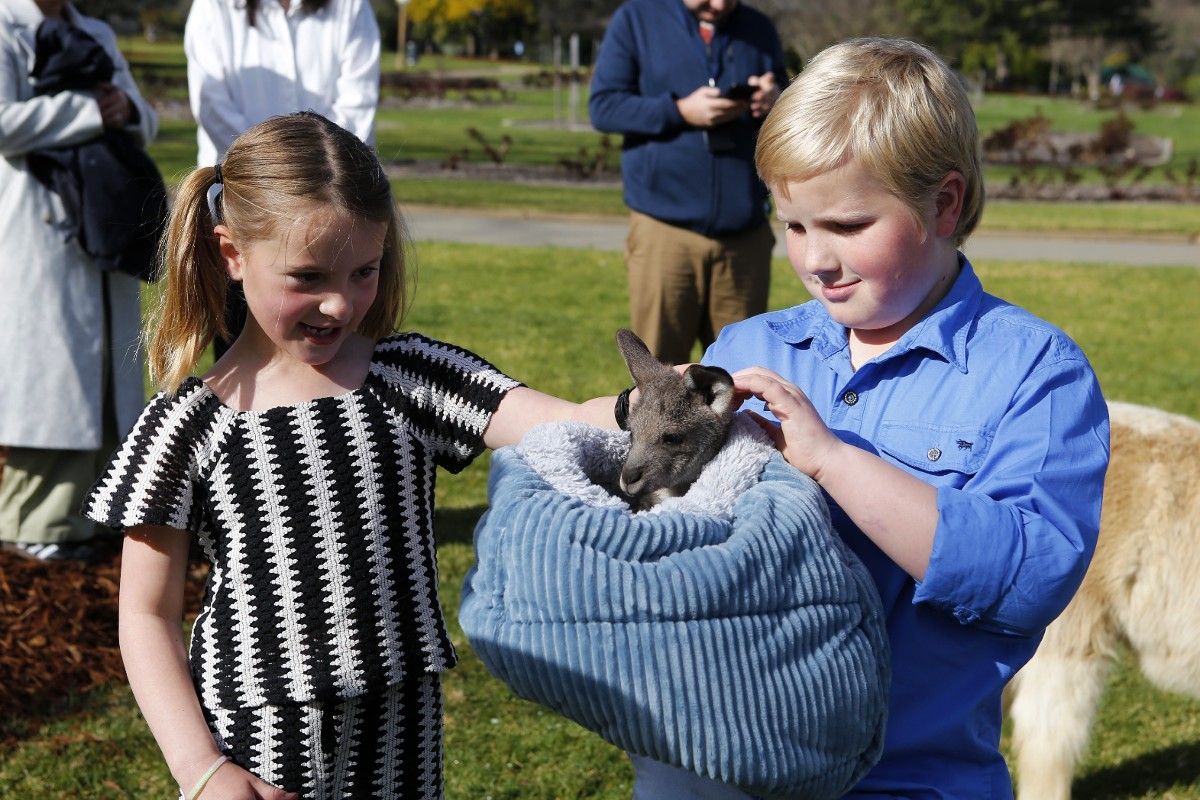 A young girl with pig tails and wearing a black and white top reaches out to scratch the head of a joey, being held in a pouch by a young boy