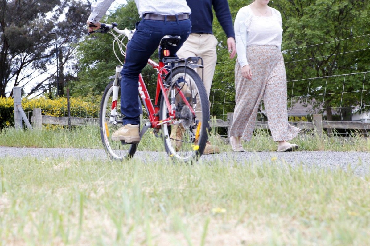 Back view of male cyclists riding past a male and female walking along a shared path, with a wire fence and trees in the background