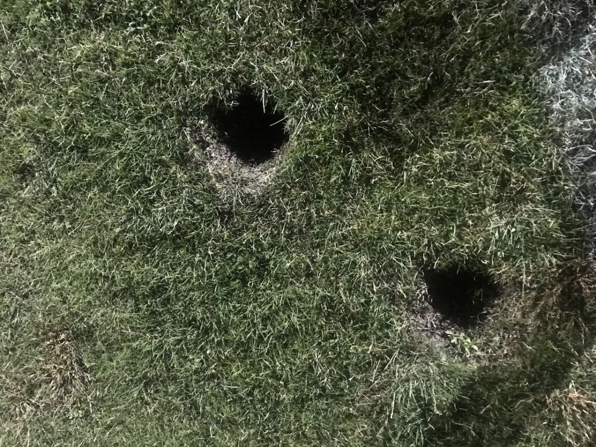 holes dug in field