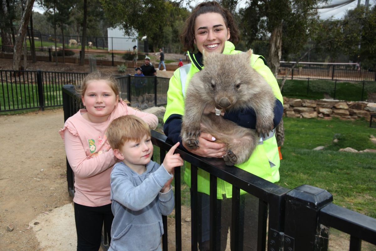kids with wombat