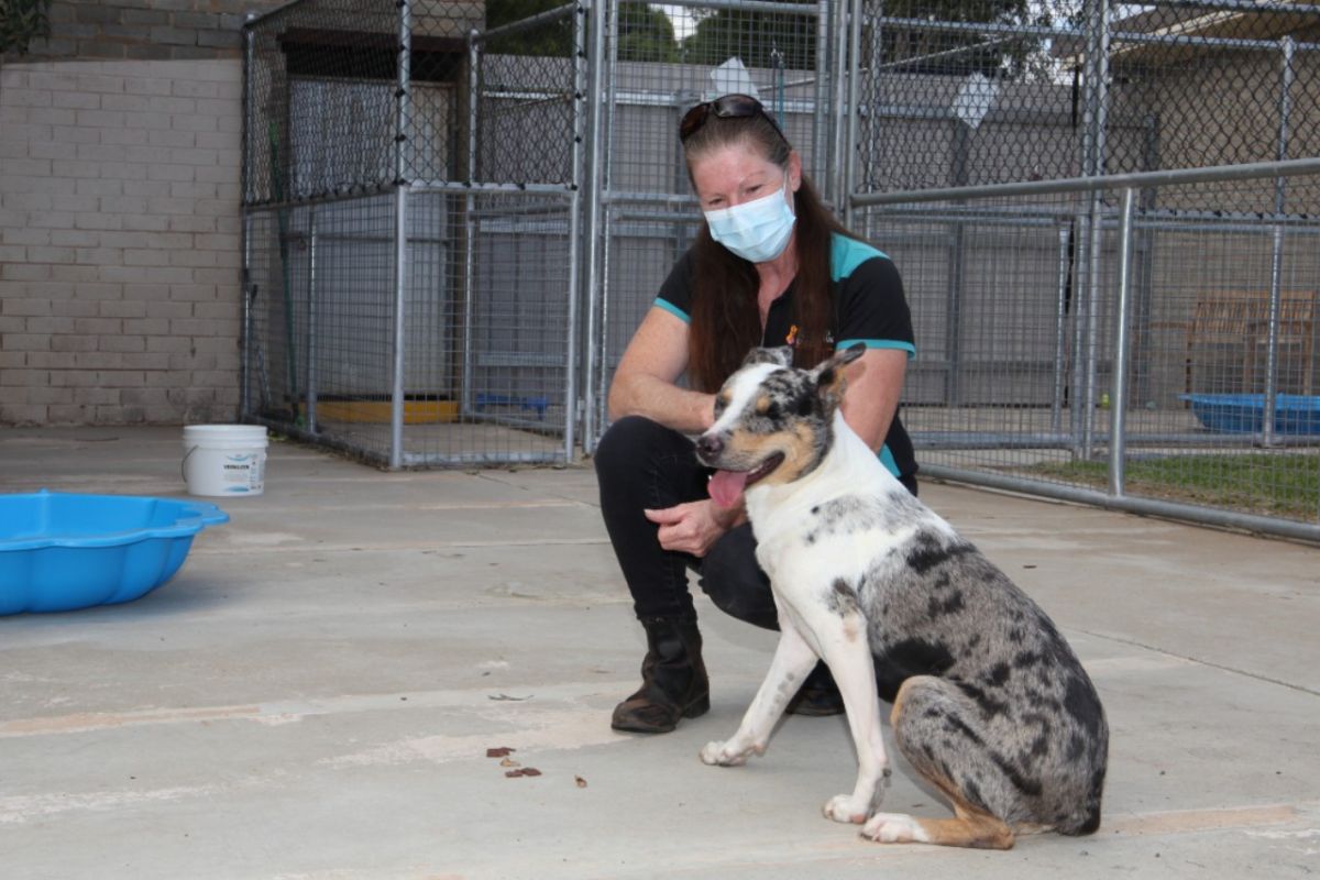 Woman crouches next to a happy dog