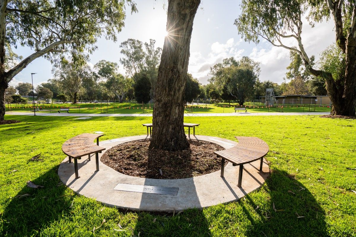 Three bench seats surround a large tree