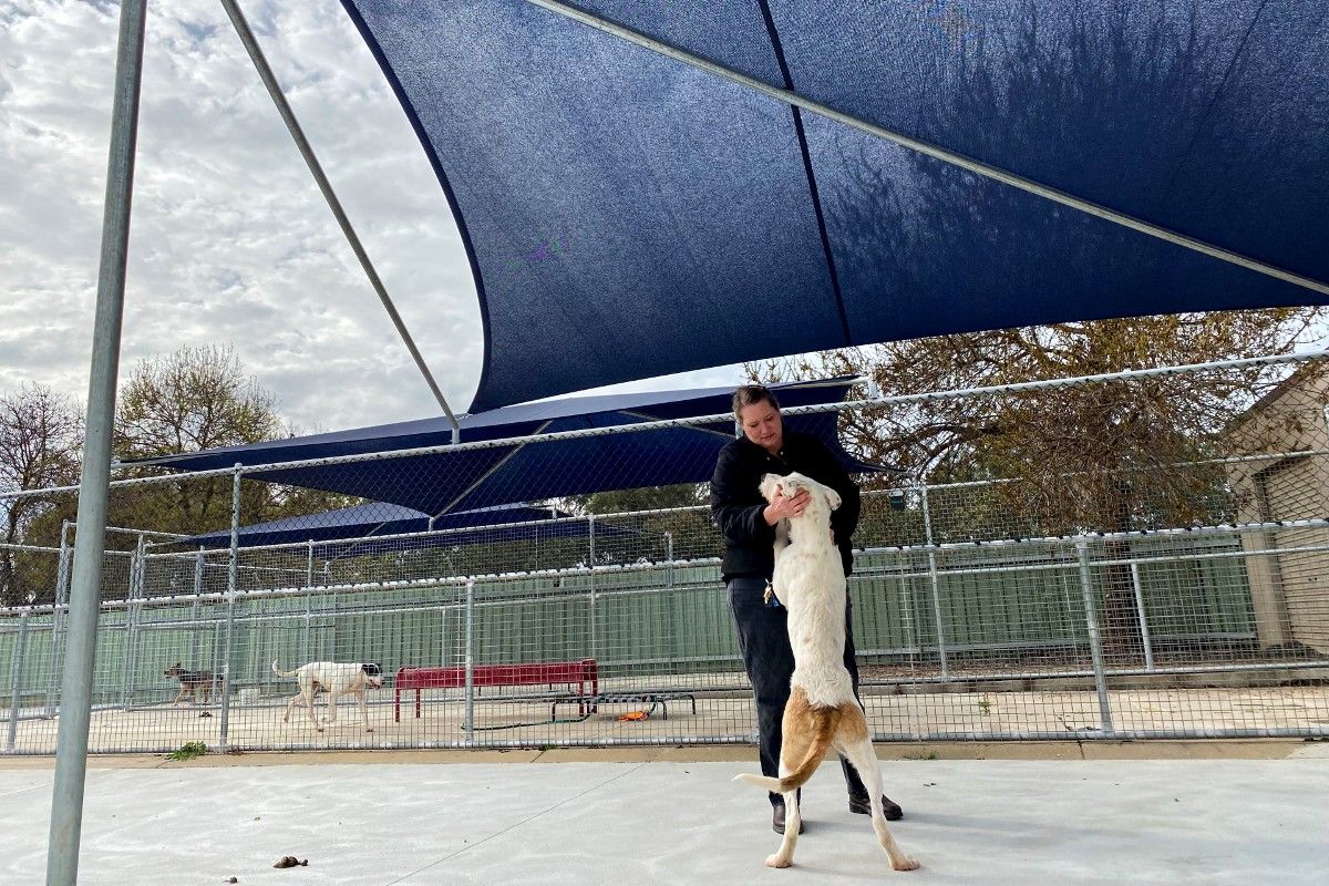 Woman with dog in new shelter exercise yard