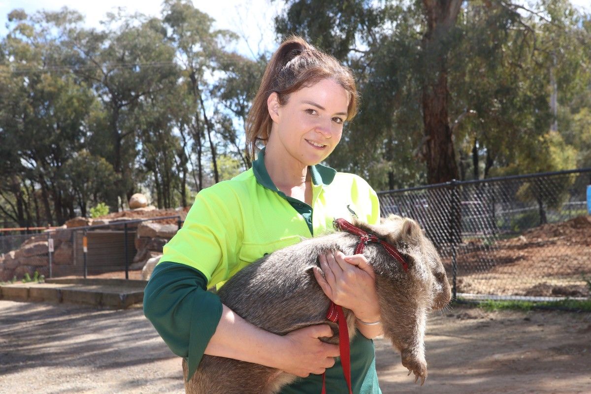 A young woman holding a small wombat