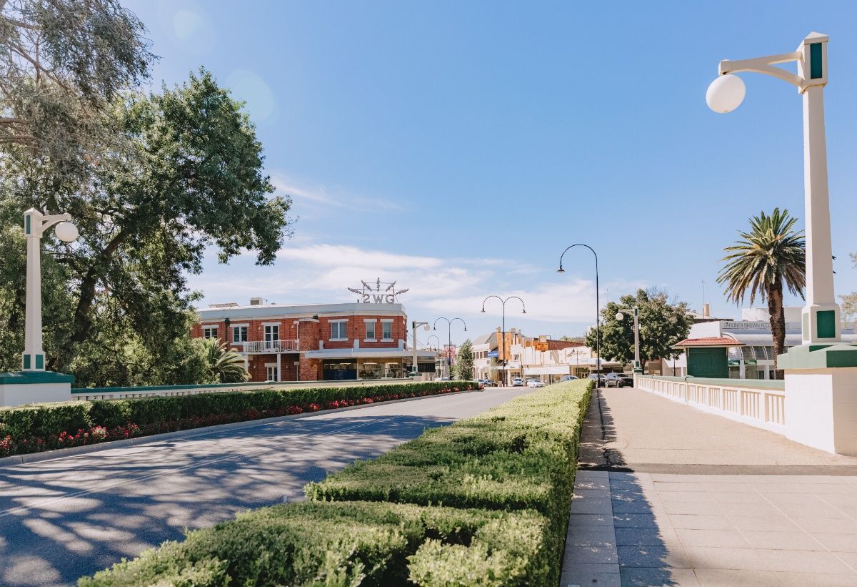 Wollundry lagoon bridge in foreground with Fitzmaurice Street and businesses in background