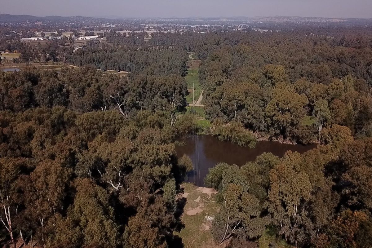 Aerial image of the Murrumbidgee River where a proposed bridge will cross for a new share path