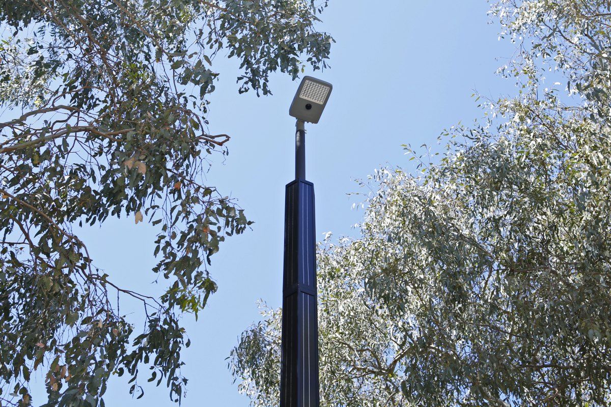 Landscape image of light pole at lake albert from close up camera angle. Eucalyptus tree branches hand in the background behind the light. 