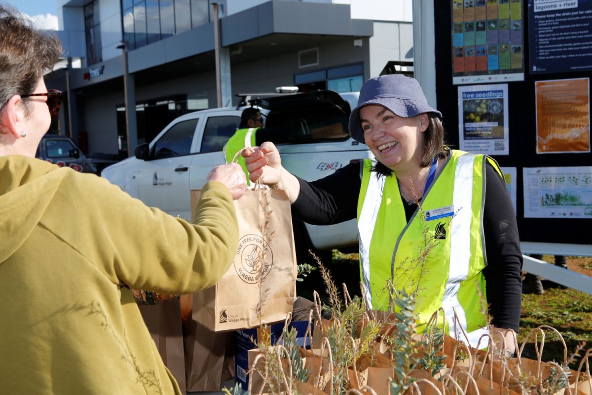 Council staff member handing bag of seedlings to a community member.