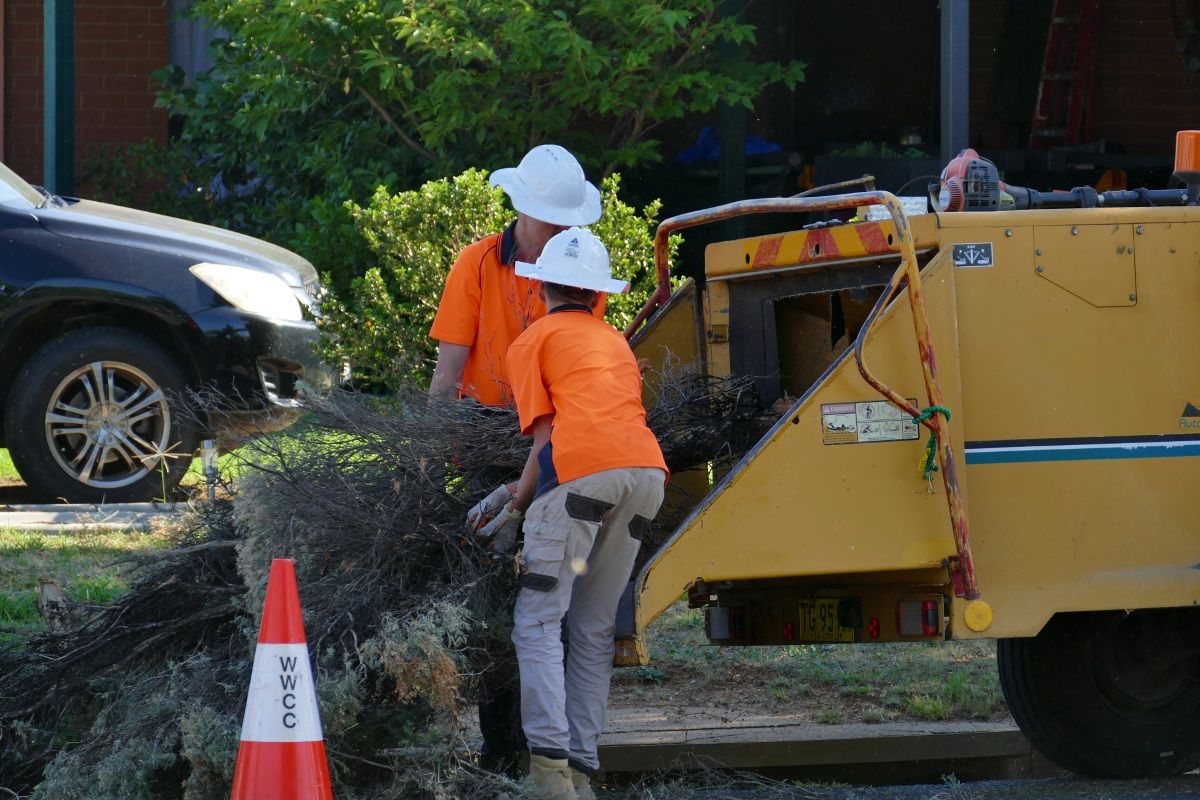 Two men in orange hi-vis shirts and wearing safety helmets feed a tree branch into a wood chipping machine.