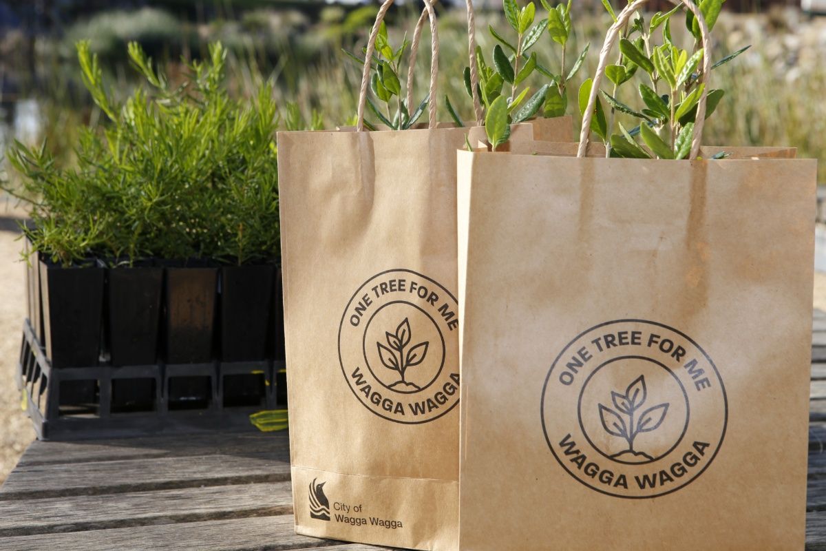 Two paper bags saying One Tree for Me in the foreground with a tray of native seedlings in the background.