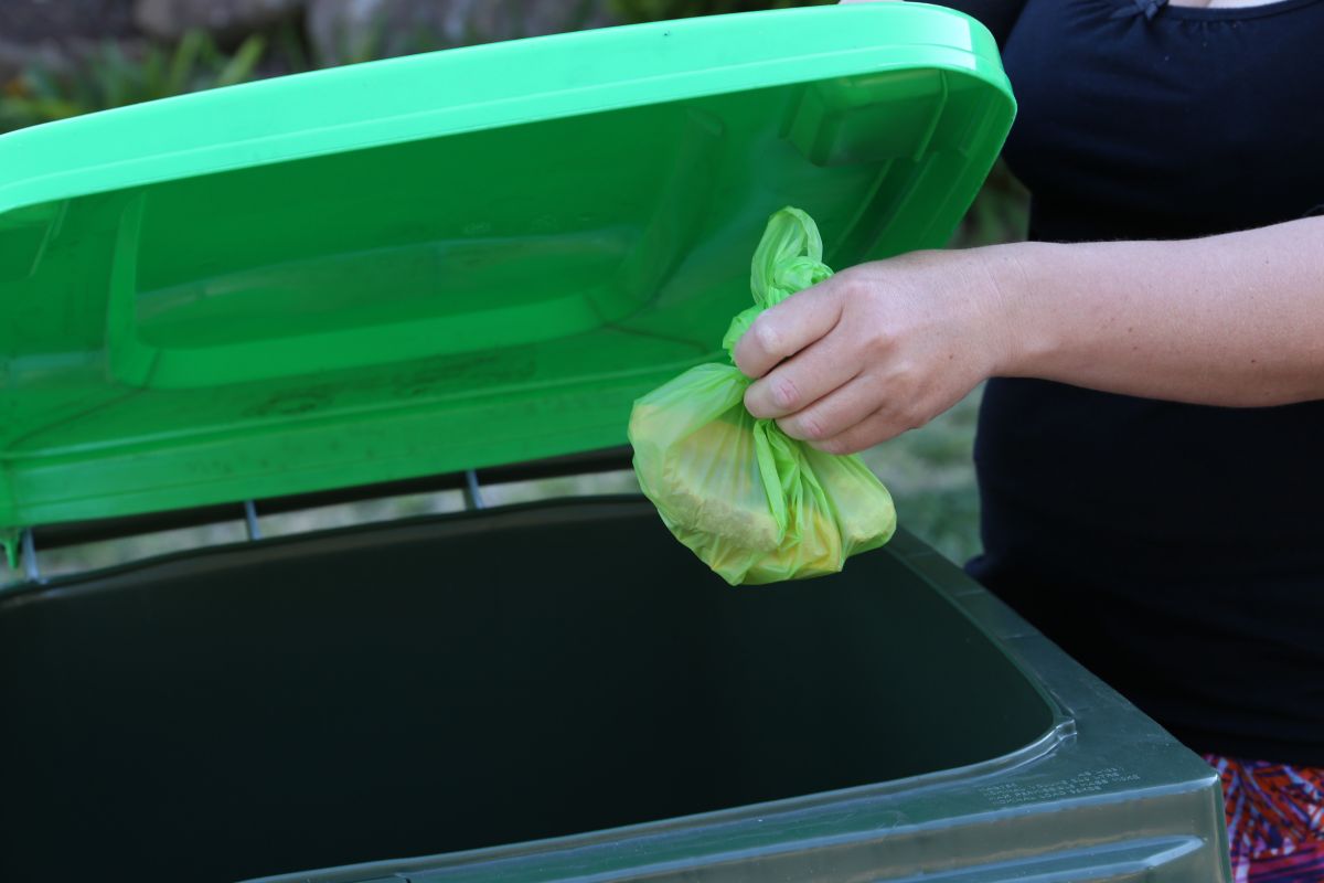 Hand dropped green waste bag into green lid FOGO bin