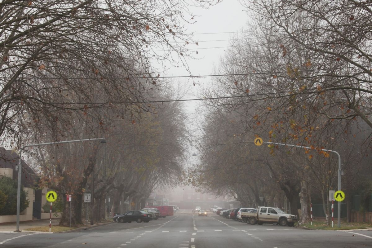 Car driving on fog lined road