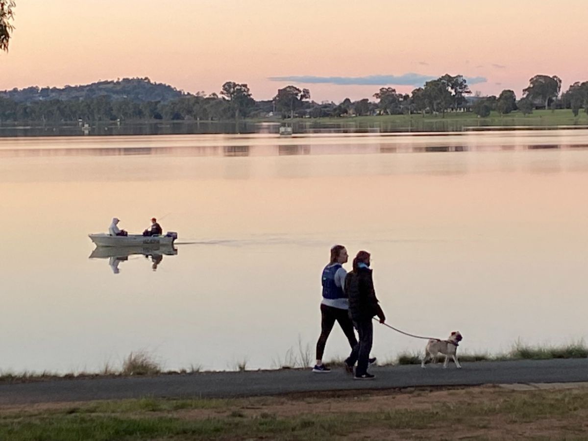 people walking dog boat on lake