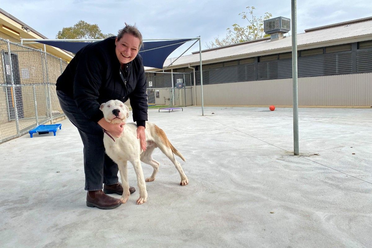 Woman with dog in new shelter exercise yard