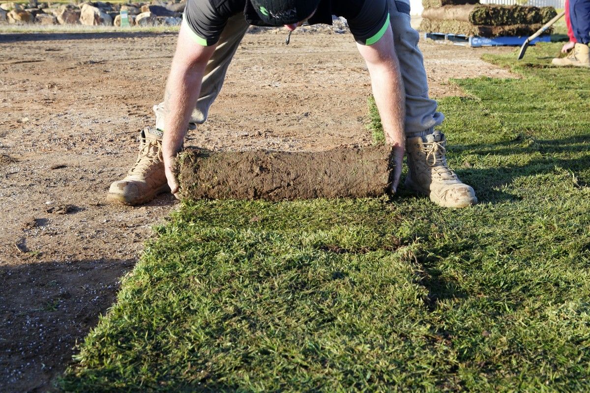 Rolls of turf being laid at playgrounds