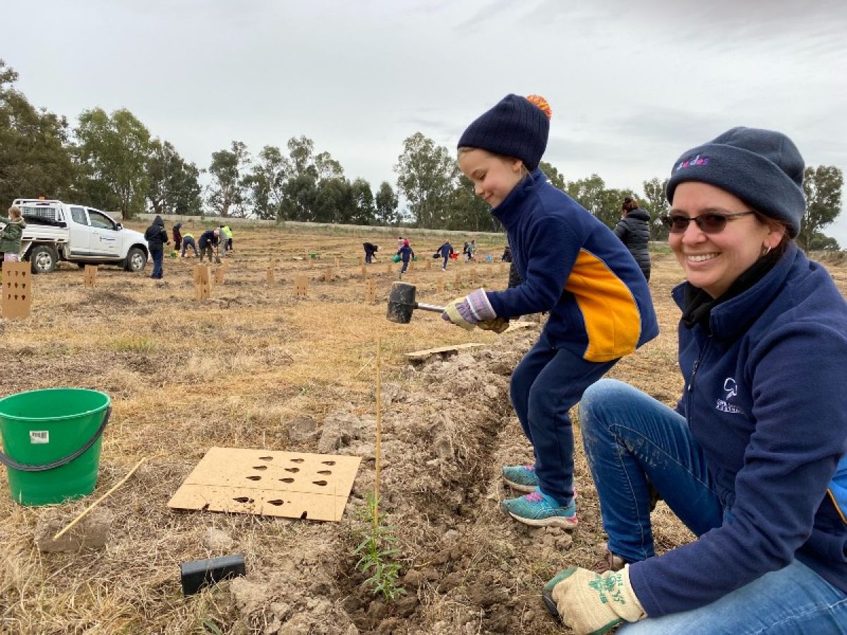 A mother and daughter plant seedlings