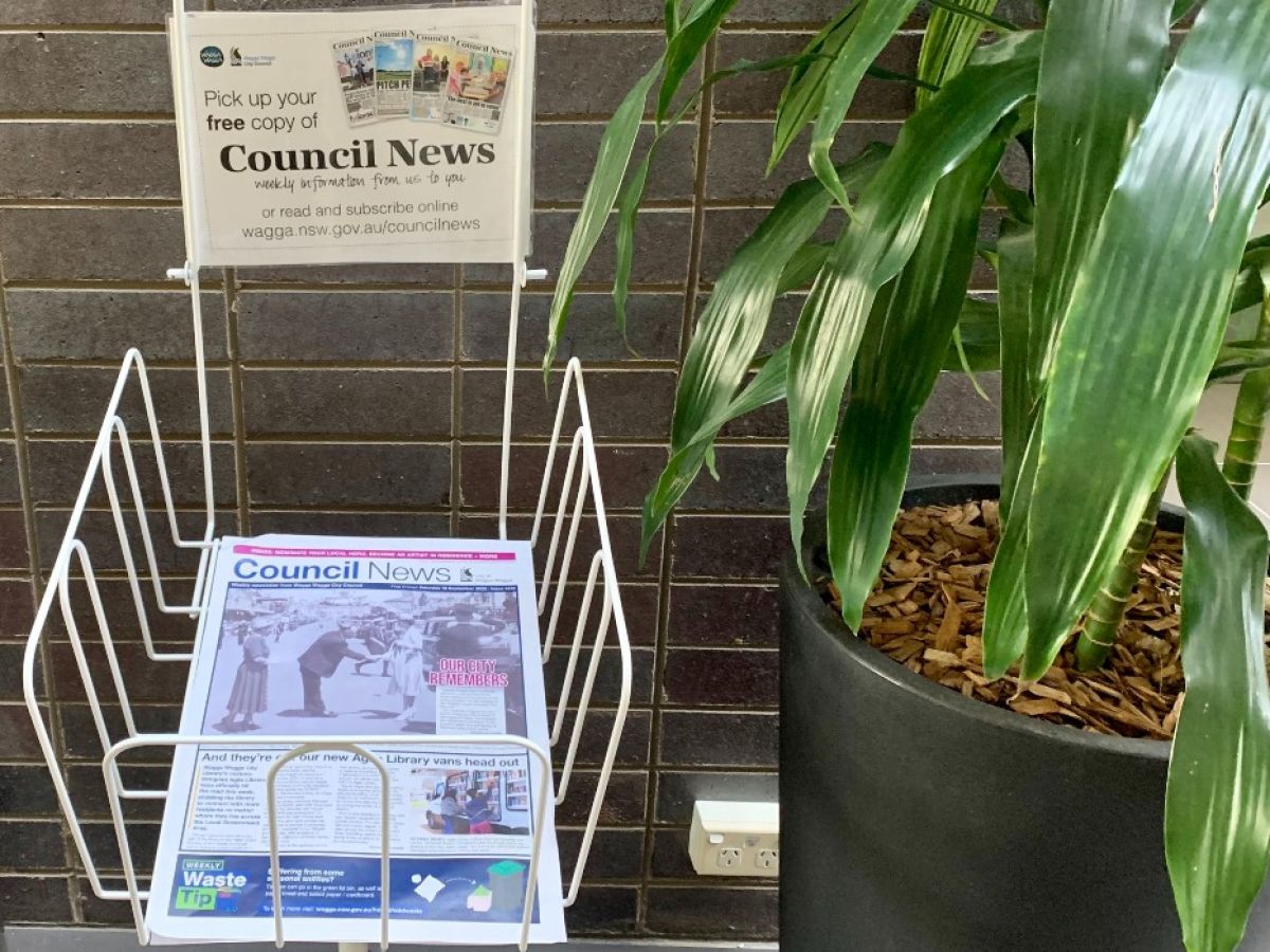 A newspaper stand holding copies of Council News beside a plant