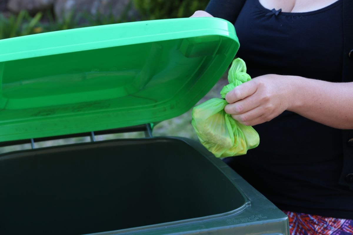 Compostable food waste bag being placed in green lid FOGO bin