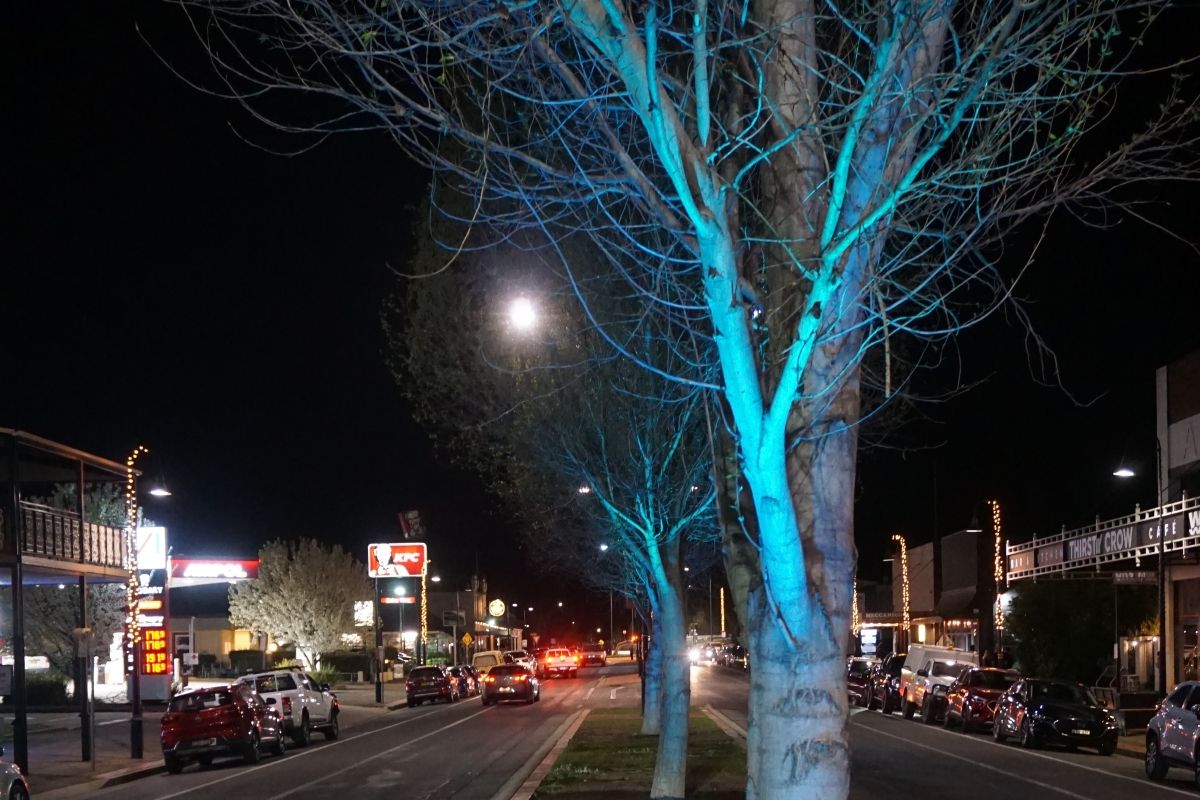 Trees on Fitzmaurice Street lit blue to help raise awareness of Prostate Cancer Month (September 2024)