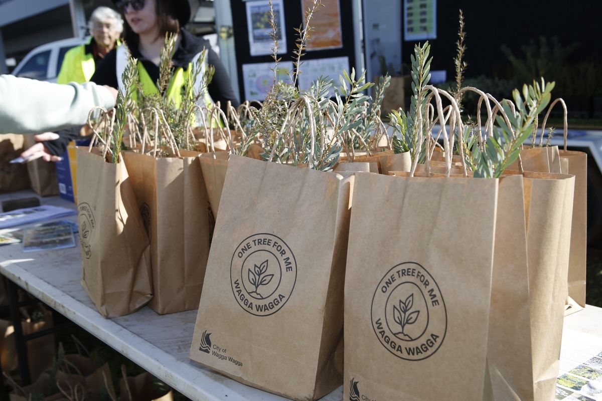 Photo of OneTreeForMe paper bags filled with seedlings