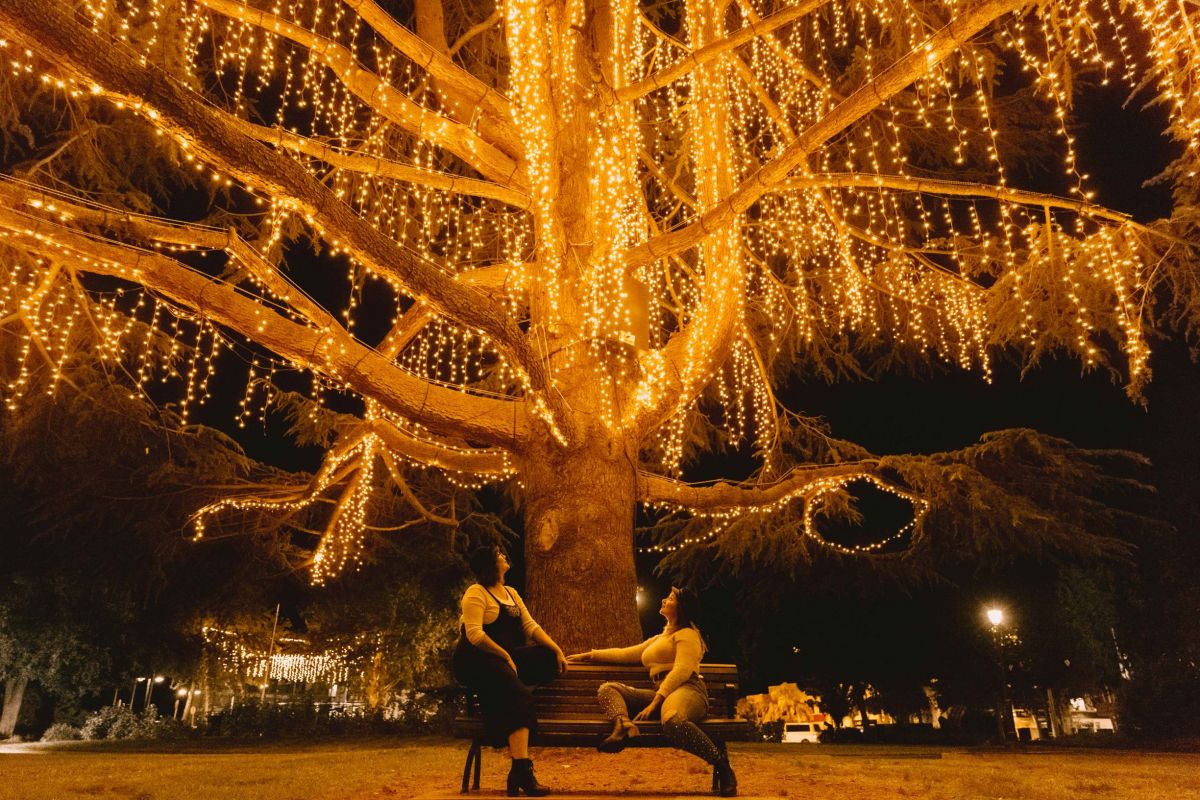 Two women sit beneath a large tree decorated with Christmas lights