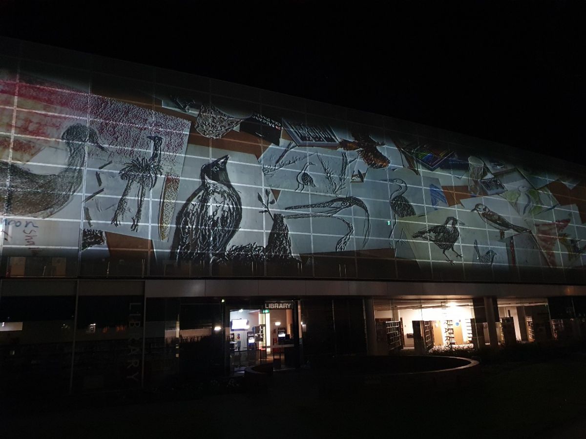 Drawings of birds are projected onto a building