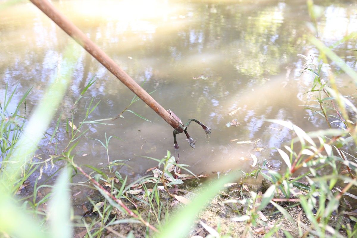 Tool to pick up rubbish over pond